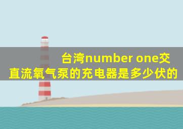 台湾number one交直流氧气泵的充电器是多少伏的